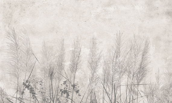 Tapeta Artystyczna  Morning mist