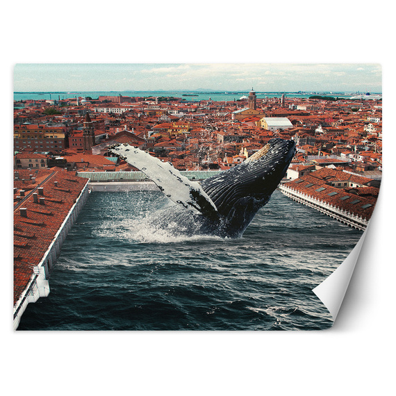 Fototapeta Czysta magia - Zehem Chong