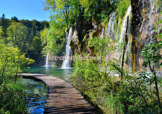 Fototapeta 11845 JEZIORO PLITWICKIE