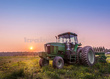 Fototapeta RE0800016 TRAKTOR