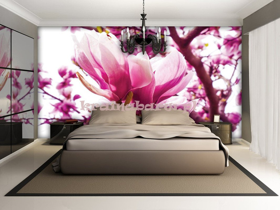 Fototapeta 1341 Kwiat Magnolii