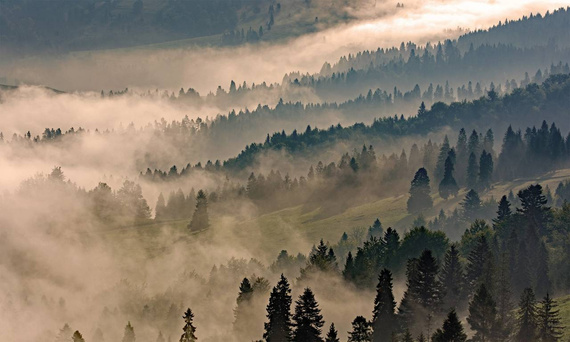 Tapeta Artystyczna   Morning in the mountains 