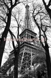 Panel CB43200M Atmosphere Carl Robinson ed.4