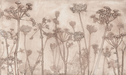 Tapeta artystyczna Wallart Erbario kwiaty