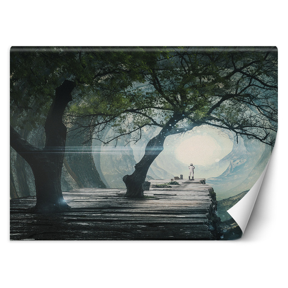 Fototapeta Most w jaskini - Zehem Chong