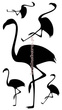 Naklejka na ścianę FLAMINGI SPNB181TS