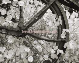 Panel CB43400M Atmosphere Carl Robinson ed.4