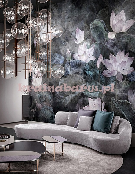 Fototapeta Lilie wodne Nymphea III