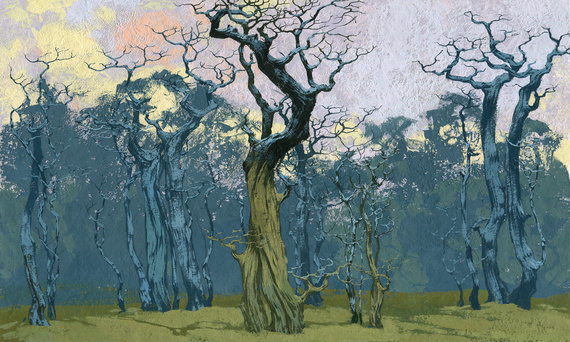 Fototapeta artystyczna Fangorn drzewa grafika