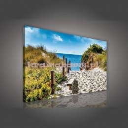 Obraz na płótnie PP514O4 Ścieżka na plażę