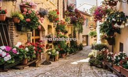 Fototapeta 1339 ULICZKA z KWIATAMI