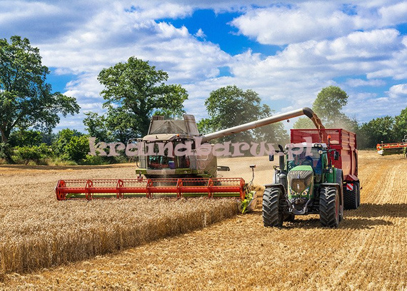 Fototapeta RE0800010 TRAKTOR I KOMBAJN