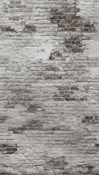 Tapeta Mural  Brick EP6102