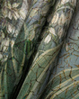 Fototapeta  Dżungla Yucca