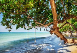 Fototapeta 11850 HUŚTAWKA