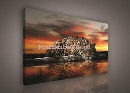 Obraz na płótnie PP101O6 Jaguar