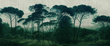 Tapeta Artystyczna Italian Pines