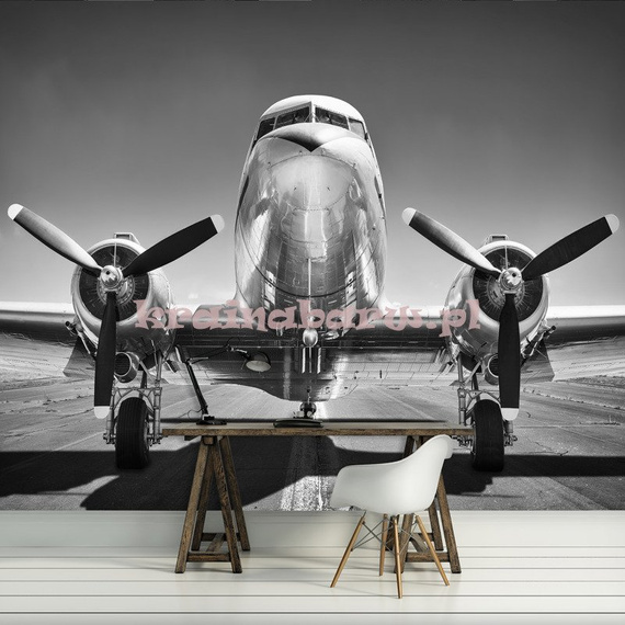 Fototapeta 12675 Samolot