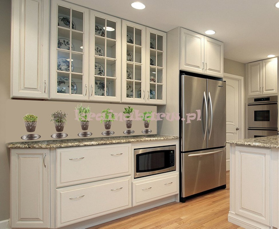 Naklejki na ścianę ZIOŁA W STYLOWYCH DONICZKACH  SPN51