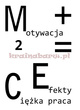 Naklejki na ścianę E=M+C2 SPN71