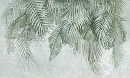 Fototapeta artystyczna Areca liscie palmy