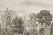 Fototapeta Ptaki Nad Lasem
