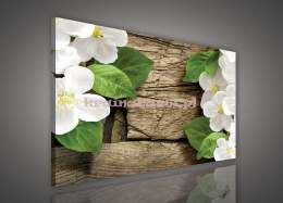Obraz na płótnie PP1528 Storczyki na drewnie