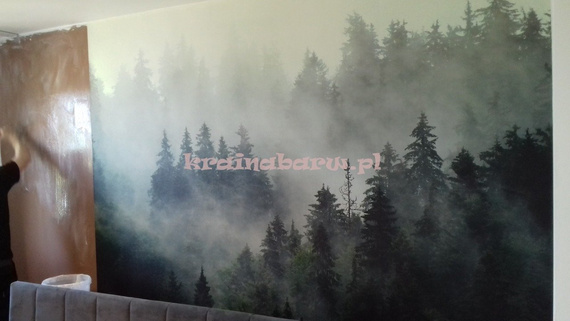 Fototapeta 13026 Las i Mgła