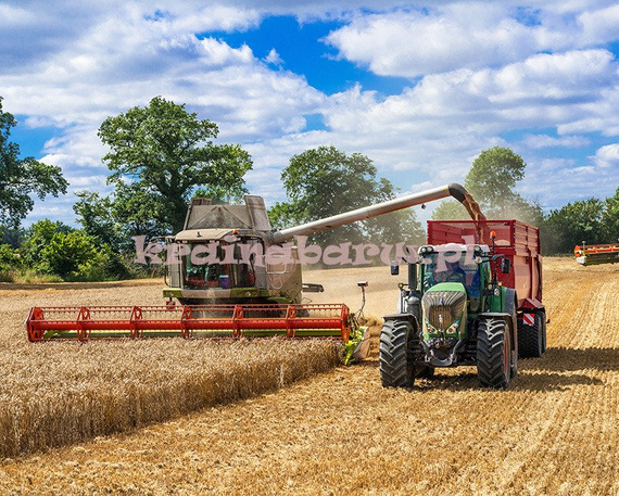 Fototapeta RE0800010 TRAKTOR I KOMBAJN