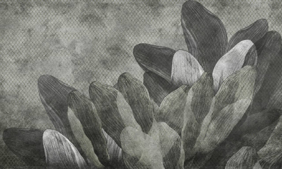 Tapeta Ekologiczna Sorell Dekorami