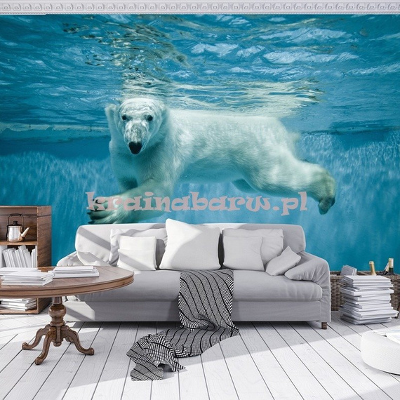 Fototapeta 12621 Niedźwieć Polarny