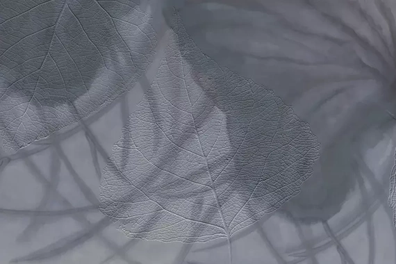 Fototapeta Glamora Gaia