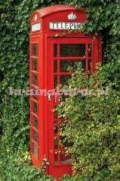 Panel CB43400M Atmosphere Carl Robinson ed.4