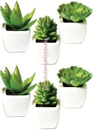 Naklejki na ścianę BIAŁE DONICZKI Z ROŚLINAMI SPN33WD