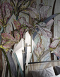 Fototapeta Kwiaty Amaryllis I