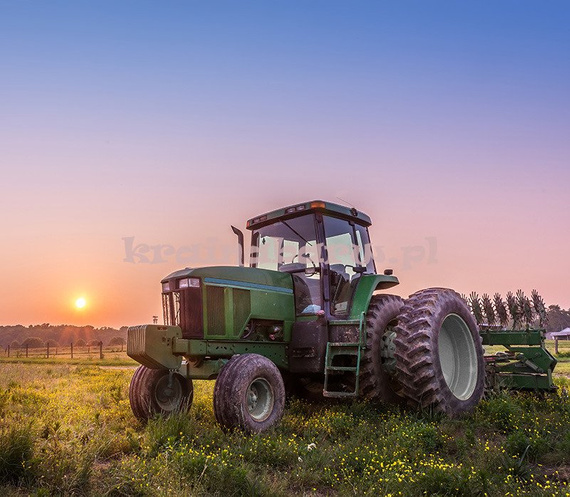 Fototapeta RE0800016 TRAKTOR