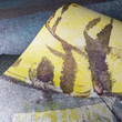 Tapeta Fototapeta  27008 Fishermen mural butterfly-fish