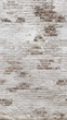 Tapeta Mural  Brick EP6101
