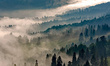 Tapeta Artystyczna   Morning in the mountains 