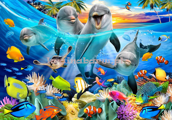 Fototapeta 12851 Uśmiechnięte Delfiny III