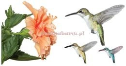 Naklejki na ścianę KOLIBER Z KRYSZTAŁKAMI KSNC332