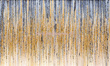 Fototapeta na flizelinie Kolorowe Ombre Fiber I