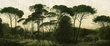 Tapeta Artystyczna Italian Pines