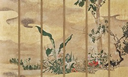 Fototapeta drzewo kwiaty  Phoenix