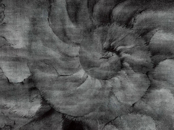 Fototapeta Wallcraft Fosillium