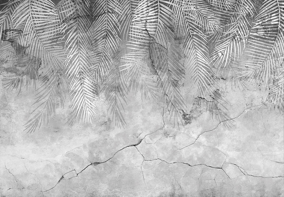 Fototapeta 14514 Liście palm na betonie