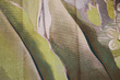 Panel Elisian Sunrise