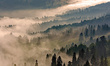 Tapeta Artystyczna   Morning in the mountains 
