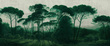 Tapeta Artystyczna Italian Pines