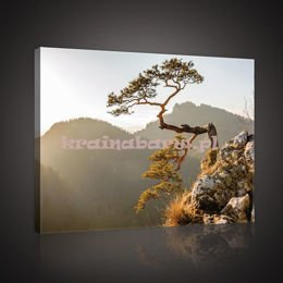 Obraz na płótnie PP10511 PIENINY